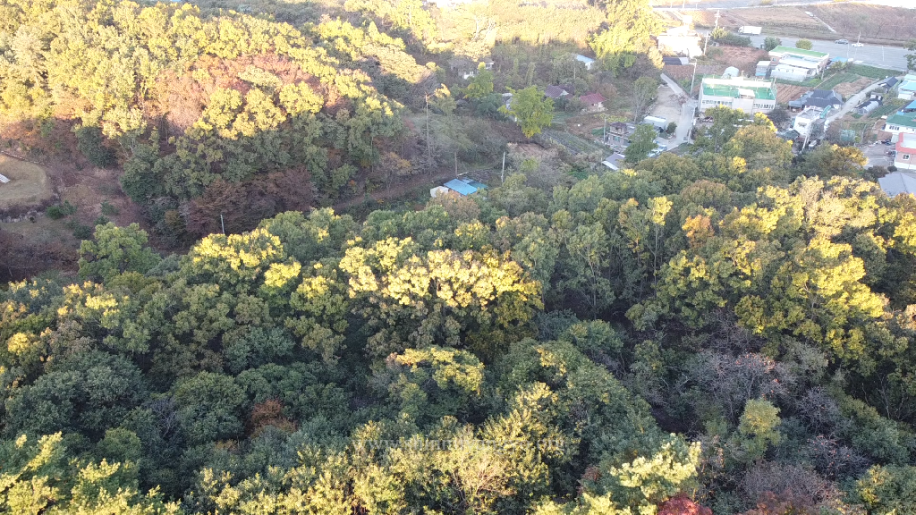 Ravine between the west hill and the Sondolmok Fort