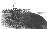 20 - Fort Monocacy [Duk Jin Fortress] after capture by Marines