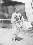 7 - Chief of the village of Rose Island [Wolmi Island].